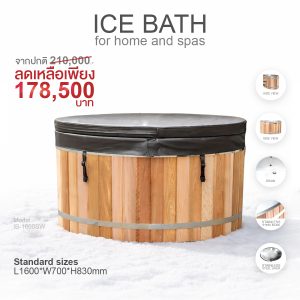 WELLNESS TECH Ice Bathtub for home and spas 500 Litres